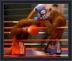 Boxing Orangutan