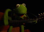 Kermit Sings Hurt